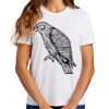 Ladies Essential T Shirt Thumbnail
