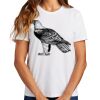 Ladies Essential T Shirt Thumbnail
