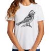 Ladies Essential T Shirt Thumbnail