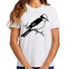 Ladies Essential T Shirt Thumbnail