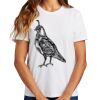 Ladies Essential T Shirt Thumbnail