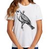 Ladies Essential T Shirt Thumbnail