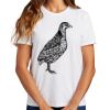 Ladies Essential T Shirt Thumbnail