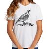 Ladies Essential T Shirt Thumbnail