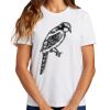 Ladies Essential T Shirt Thumbnail