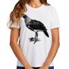 Ladies Essential T Shirt Thumbnail