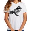 Ladies Essential T Shirt Thumbnail