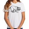 Ladies Essential T Shirt Thumbnail