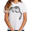 Ladies Essential T Shirt Thumbnail
