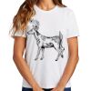 Ladies Essential T Shirt Thumbnail