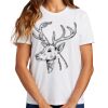 Ladies Essential T Shirt Thumbnail