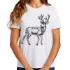 Ladies Essential T Shirt Thumbnail