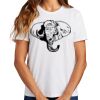 Ladies Essential T Shirt Thumbnail
