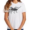 Ladies Essential T Shirt Thumbnail