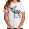 Ladies Essential T Shirt Thumbnail