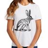 Ladies Essential T Shirt Thumbnail