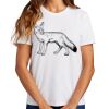 Ladies Essential T Shirt Thumbnail