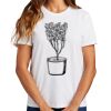 Ladies Essential T Shirt Thumbnail