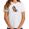 Ladies Essential T Shirt Thumbnail