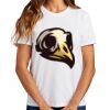 Ladies Essential T Shirt Thumbnail