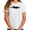 Ladies Essential T Shirt Thumbnail