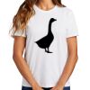 Ladies Essential T Shirt Thumbnail