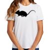 Ladies Essential T Shirt Thumbnail
