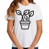 Ladies Essential T Shirt Thumbnail
