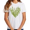 Ladies Essential T Shirt Thumbnail