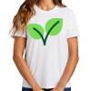 Ladies Essential T Shirt Thumbnail