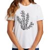 Ladies Essential T Shirt Thumbnail