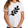 Ladies Essential T Shirt Thumbnail