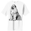 Essential T Shirt Thumbnail