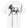 Essential T Shirt Thumbnail