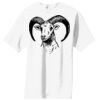 Essential T Shirt Thumbnail