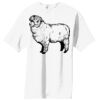 Essential T Shirt Thumbnail