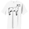 Essential T Shirt Thumbnail
