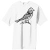 Essential T Shirt Thumbnail