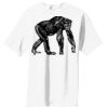 Essential T Shirt Thumbnail
