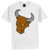 Tagless® 100% Cotton T Shirt Thumbnail