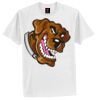 Tagless® 100% Cotton T Shirt Thumbnail
