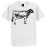 Tagless® 100% Cotton T Shirt Thumbnail