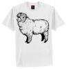 Tagless® 100% Cotton T Shirt Thumbnail