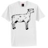 Tagless® 100% Cotton T Shirt Thumbnail