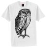 Tagless® 100% Cotton T Shirt Thumbnail