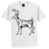 Tagless® 100% Cotton T Shirt Thumbnail