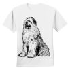 Nano T® Cotton T Shirt Thumbnail