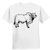 Nano T® Cotton T Shirt Thumbnail