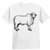 Nano T® Cotton T Shirt Thumbnail