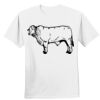 Nano T® Cotton T Shirt Thumbnail